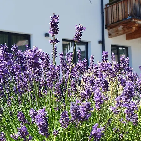 Apartman Valbel *